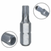 Imagem de BITS TORX LONGO PREMIUM T55 - Enc. 10mm x 80mm