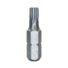 Imagem de BITS TORX T20 - Enc. 1/4" x 25mm [C/10]