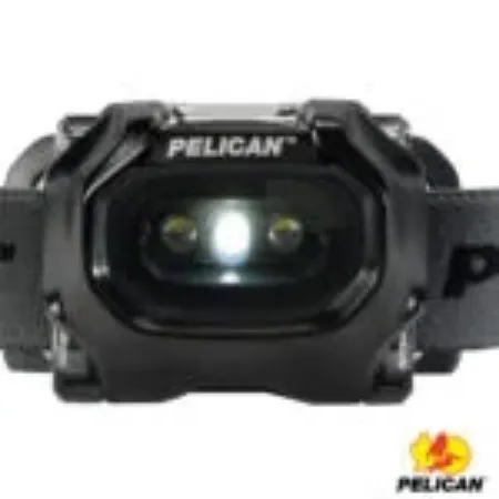Imagem de Pelican | Head 2745