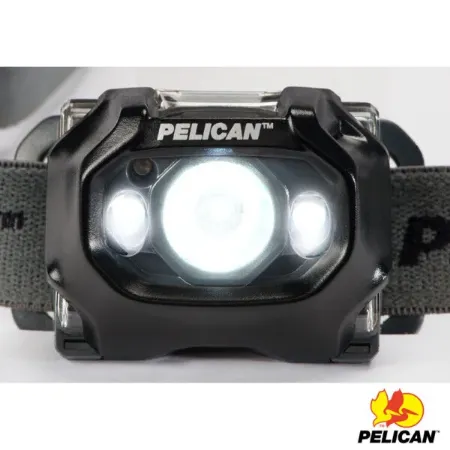 Imagem de Pelican | Head 2765